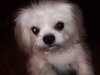 Tyson